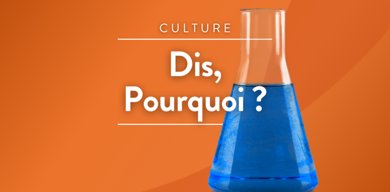 Visuel du podcast Dis, pourquoi ?